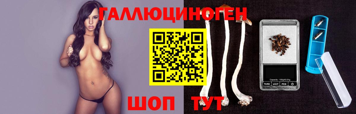 Псилоцибиновые грибы Cubensis Семилуки